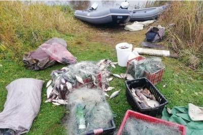 Трех псковичей оштрафовали за незаконную ловлю рыбы на Теплом озере