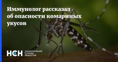 Иммунолог рассказал об опасности комариных укусов