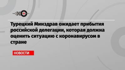 Турецкий Минздрав ожидает прибытия российской делегации, которая должна оценить ситуацию с коронавирусом в стране