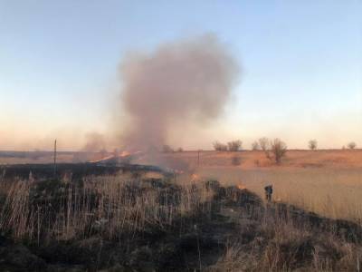 Во Львовской области из-за подпала сухой травы сгорели три автобуса