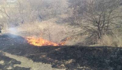 На Луганщине за последние дни количество пожаров выросло в 16 раз