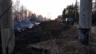 В Корсаковском районе в этом месяце уже три раза горела трава