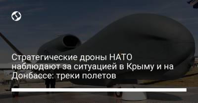 Стратегические дроны НАТО наблюдают за ситуацией в Крыму и на Донбассе: треки полетов