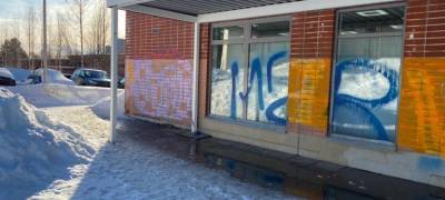 Неуловимый вандал, разрисовавший здания в городе Карелии, пойман