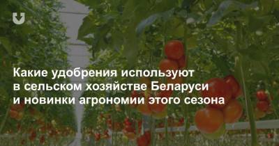 Какие удобрения используют в сельском хозяйстве Беларуси и новинки агрономии этого сезона