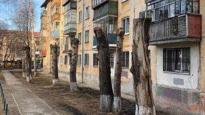 Тюменские службы продолжают превращать деревья в «пеньки»