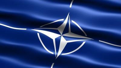 Зеленский попросил США помочь Украине со вступлением НАТО