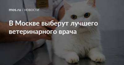 В Москве выберут лучшего ветеринарного врача