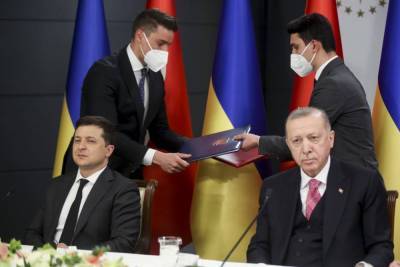 На Украине раскритиковали решение Зеленского передать часть акций «Мотор Сич» Турции