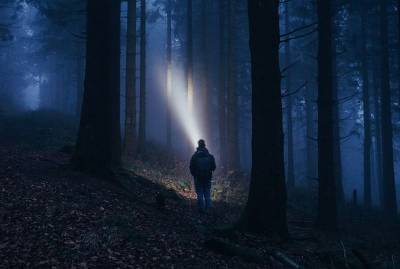 В Смоленской области в лесу нашли заблудившегося пенсионера