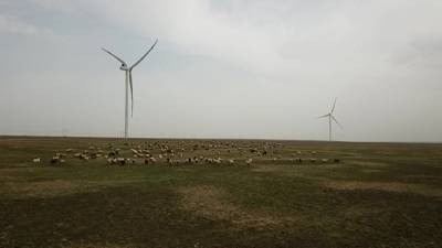 Проблему энергодефицита в Калмыкии помог решить степной ветер