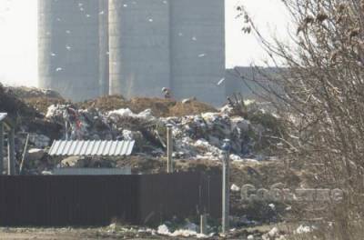 Работа городской свалки остановлена в Каменском: в городе назревает мусорный коллапс