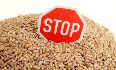 Закупки российской пшеницы приостановлены: пошлины сделали своё дело