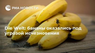 Die Welt: бананы оказались под угрозой исчезновения