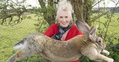 У бывшей модели Playboy воры украли крупнейшего в мире кроля