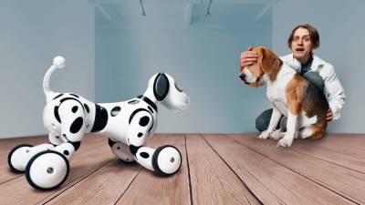 Как собака отреагирует на собаку-робота: Эксперименты