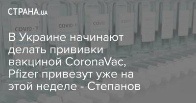 В Украине начинают делать прививки вакциной CoronaVac, Pfizer привезут уже на этой неделе - Степанов