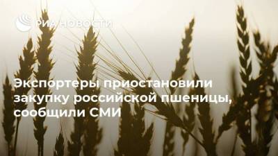 Экспортеры приостановили закупку российской пшеницы, сообщили СМИ