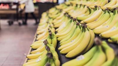 Бананы оказались под угрозой исчезновения из-за зараженной почвы