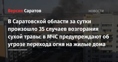 В Саратовской области за сутки произошло 35 случаев возгорания сухой травы: в МЧС предупреждают об угрозе перехода огня на жилые дома