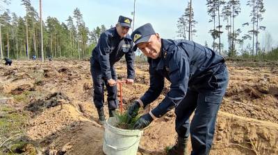 Могилевские следователи приняли участие в акции "Неделя леса"