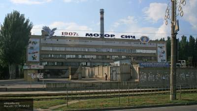 На Украине назвали «идиотской» идею продать «Мотор Сич» Турции