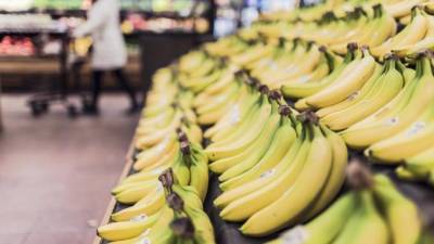 Die Welt: бананы могут оказаться под угрозой исчезновения