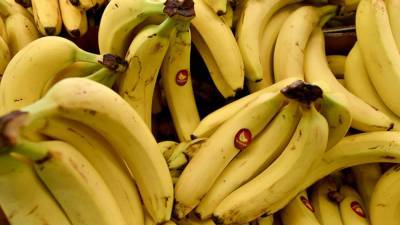 Россиян предупредили, что бананы могут исчезнуть с прилавков магазинов