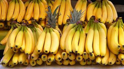 СМИ: бананы оказались под угрозой исчезновения из-за гриба