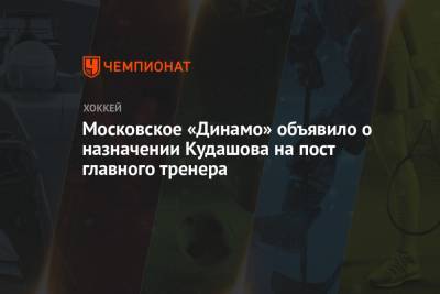 Московское «Динамо» объявило о назначении Кудашова на пост главного тренера