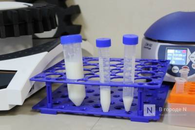 Недостаток белка обнаружен в нижегородском молоке