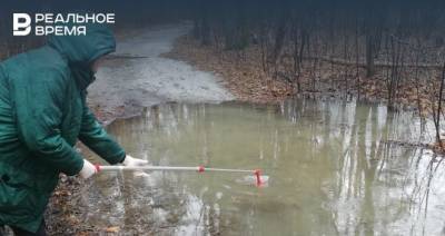 В Чистополе часть Пристанского леса затопило канализационными стоками