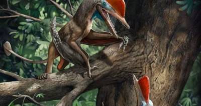 Рептилия из Юрского периода на миллионы лет опередила человека в эволюции рук