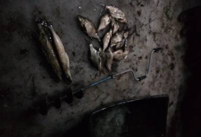 В Тверской области любителю рыбалки грозит крупный штраф или тюремный срок