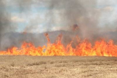 Пожарные потушили горящую траву в парке Халхин-Гол в Чите