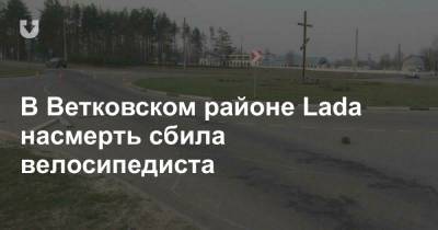 В Ветковском районе Lada насмерть сбила велосипедиста