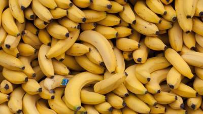 Die Welt: человечество может остаться без бананов