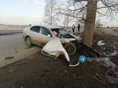 В Башкирии мужчина умер, врезавшись в дерево