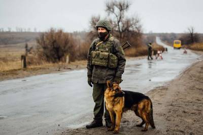 МВД проводят фильтрацию граждан в прифронтовой зоне на Донбассе