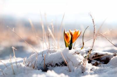 Резкое похолодание: на днях в Украине снова выпадет снег