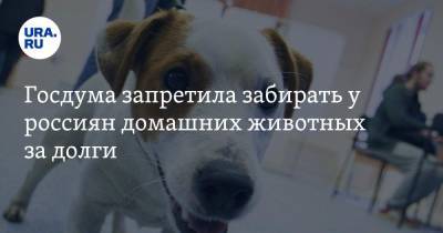 Госдума запретила забирать у россиян домашних животных за долги