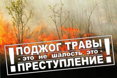 Поджигателей травы в Костроме накажут рублем