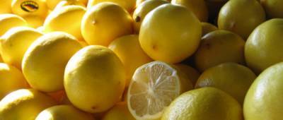 Косметологи рассказали о пользе лимона для лица и волос