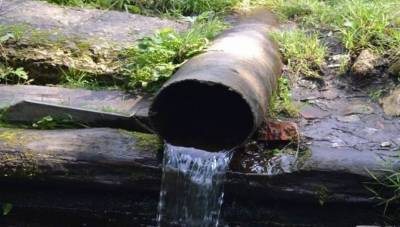 В Осташковском городском округе сточные воды с очистных сооружений сбрасывали на почву