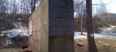 Мертвую крысу нашли горожане у памятника в центре Петрозаводска (ВИДЕО)