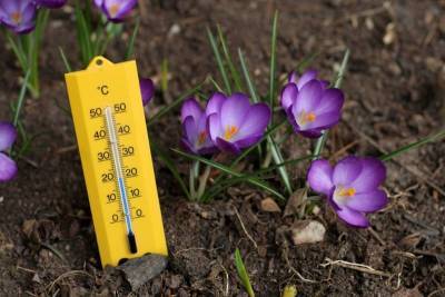 Пасмурно, но тепло. Синоптики – о погоде в Смоленской области 14 апреля