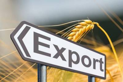 В Молдавии планируют продлить мораторий на экспорт пшеницы