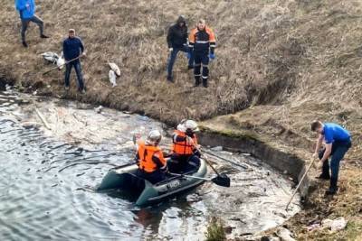 Ногинский пруд в Серпухове очистили от мёртвой рыбы