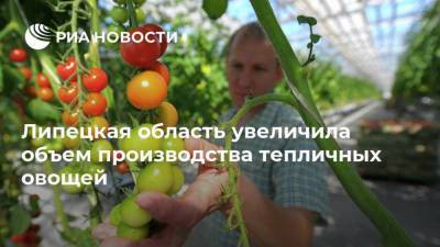 Липецкая область увеличила объем производства тепличных овощей