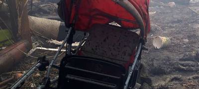 Молодая жительница Петрозаводска, устроившая смертельный поджог детской коляски, отправилась в колонию на 13 лет